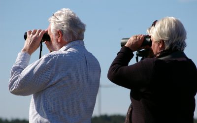 Spotting Scope vs Binoculars: How To Know What To Choose